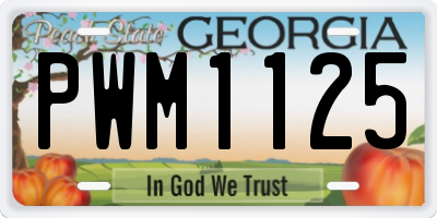 GA license plate PWM1125