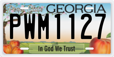 GA license plate PWM1127