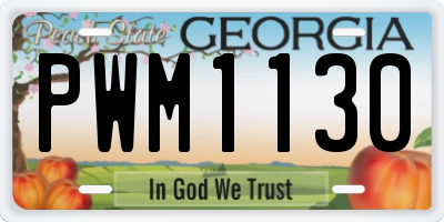 GA license plate PWM1130