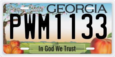 GA license plate PWM1133