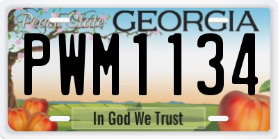 GA license plate PWM1134