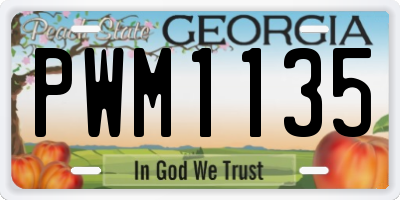 GA license plate PWM1135