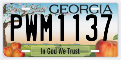 GA license plate PWM1137