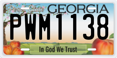 GA license plate PWM1138