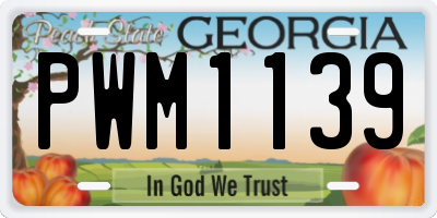 GA license plate PWM1139