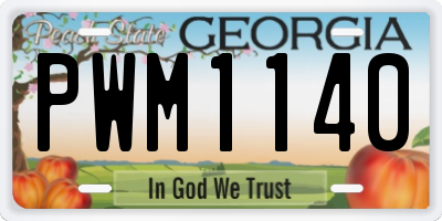 GA license plate PWM1140