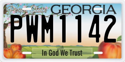 GA license plate PWM1142