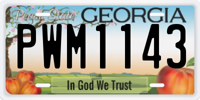 GA license plate PWM1143