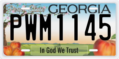 GA license plate PWM1145