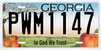 GA license plate PWM1147