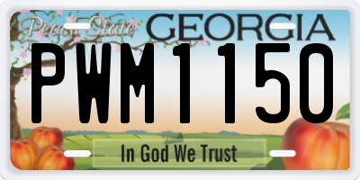 GA license plate PWM1150