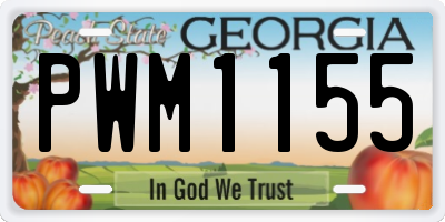 GA license plate PWM1155