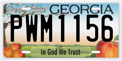 GA license plate PWM1156