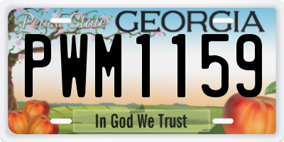 GA license plate PWM1159