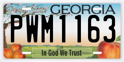 GA license plate PWM1163