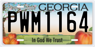 GA license plate PWM1164