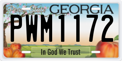 GA license plate PWM1172