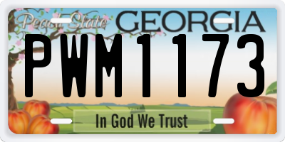 GA license plate PWM1173
