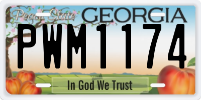 GA license plate PWM1174