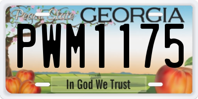 GA license plate PWM1175