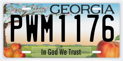 GA license plate PWM1176