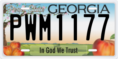 GA license plate PWM1177