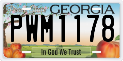 GA license plate PWM1178