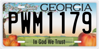 GA license plate PWM1179