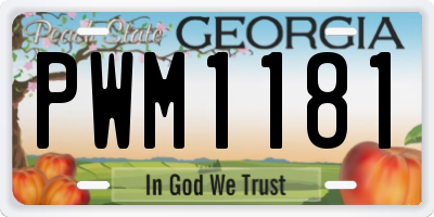 GA license plate PWM1181