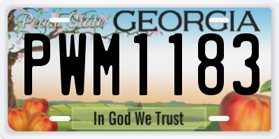 GA license plate PWM1183