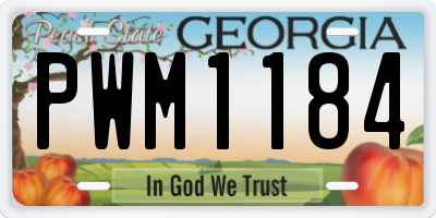 GA license plate PWM1184
