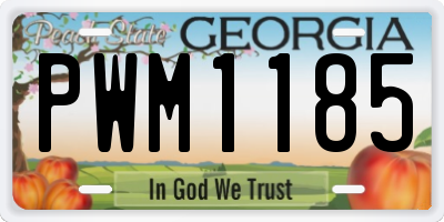 GA license plate PWM1185