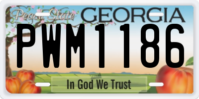 GA license plate PWM1186