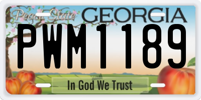 GA license plate PWM1189