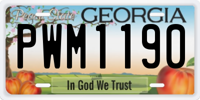 GA license plate PWM1190