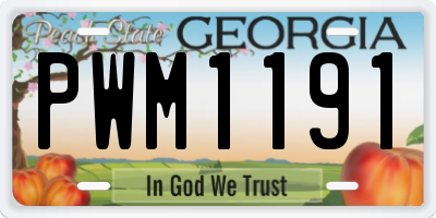 GA license plate PWM1191