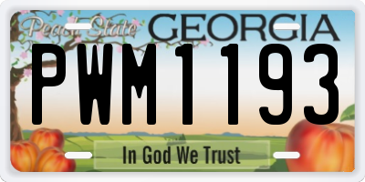 GA license plate PWM1193