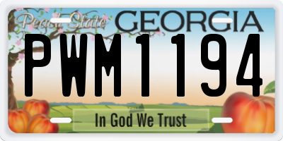 GA license plate PWM1194