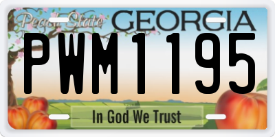 GA license plate PWM1195