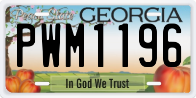 GA license plate PWM1196
