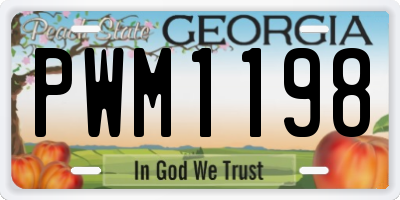 GA license plate PWM1198