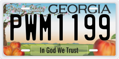 GA license plate PWM1199