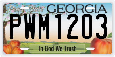 GA license plate PWM1203