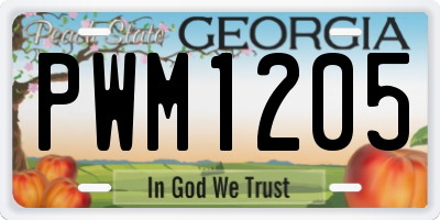 GA license plate PWM1205