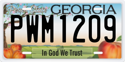 GA license plate PWM1209