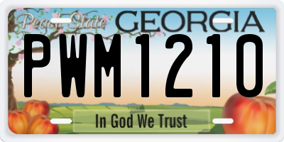 GA license plate PWM1210