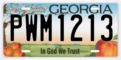 GA license plate PWM1213