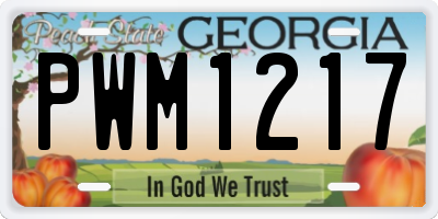 GA license plate PWM1217