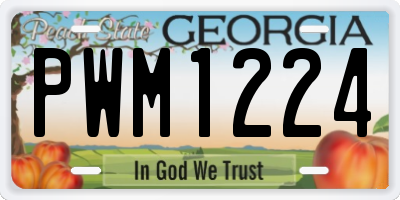 GA license plate PWM1224