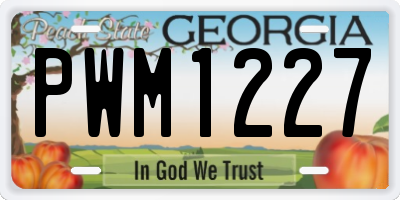 GA license plate PWM1227